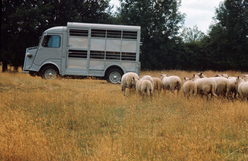 Citroën H Van furgonas