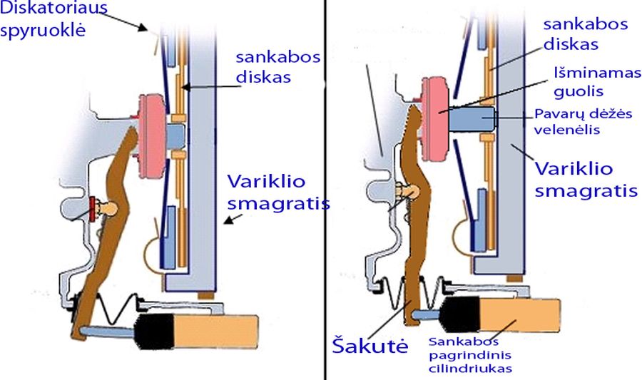 Sankabos veikimas1