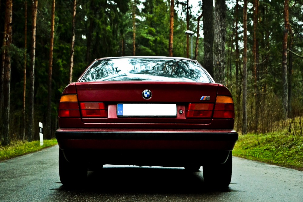 BMW V12 (6)