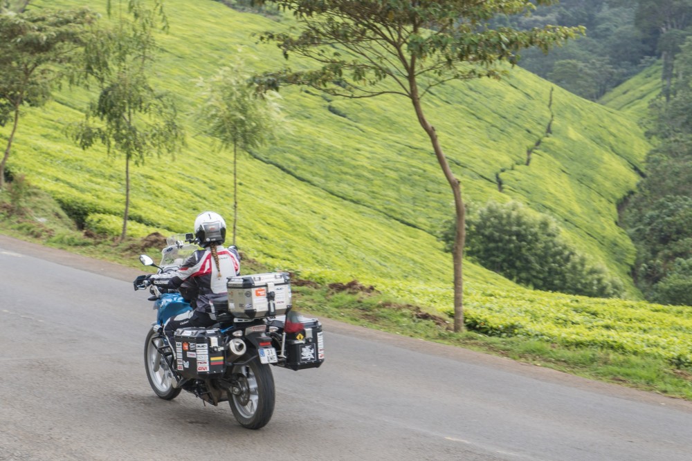 Kenya Tea Plantations