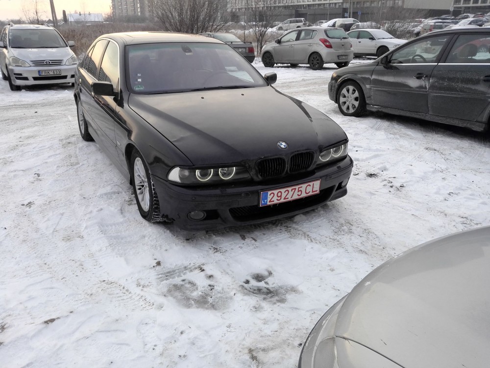 Žilvino E39 (2)