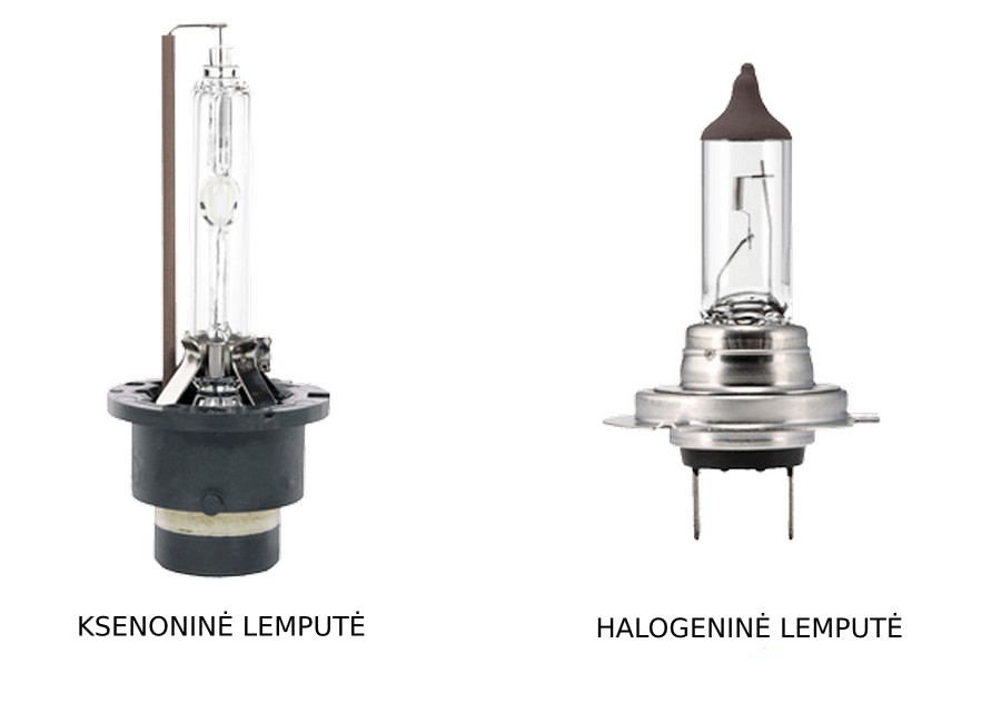 Xenon vs halogen